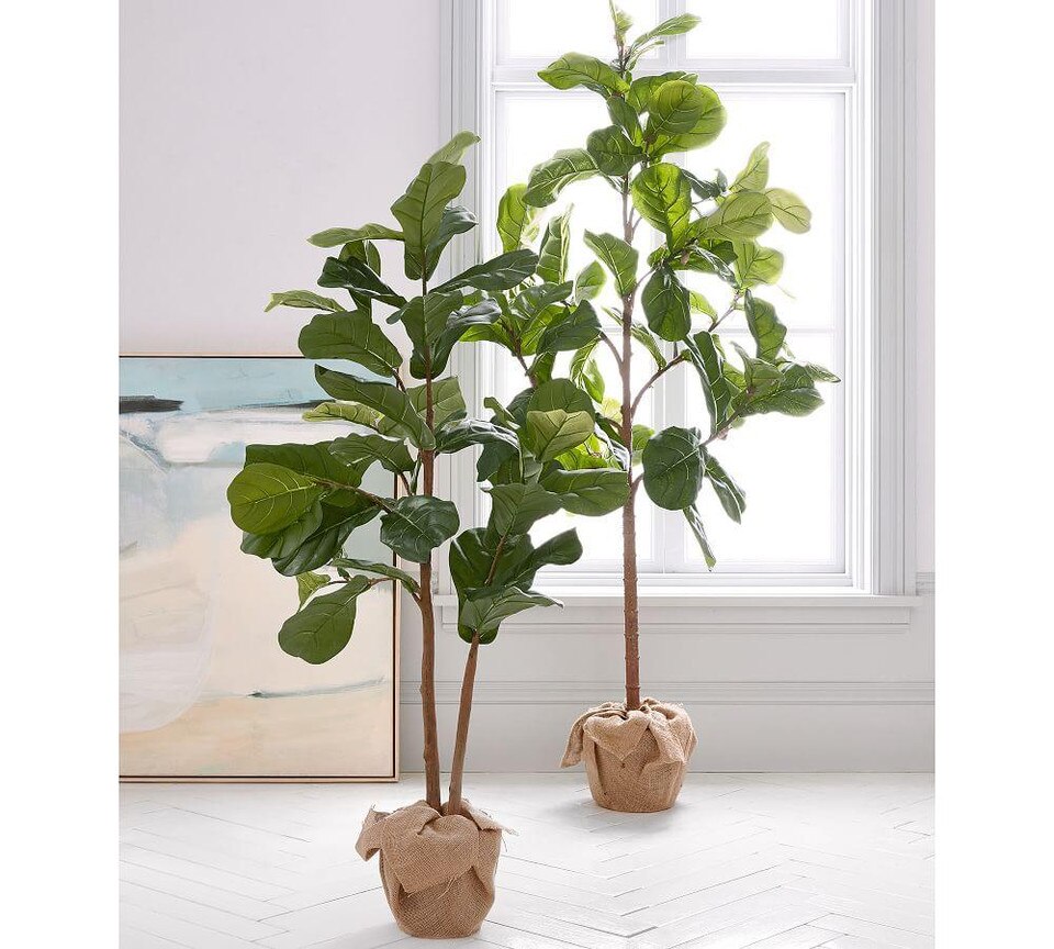 Faux Potted Fiddle Leaf Tree Pottery Barn Australia